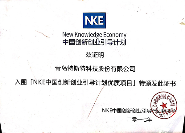 NKE中國(guó)創(chuàng)新創(chuàng)業(yè)引導(dǎo)計(jì)劃項(xiàng)目