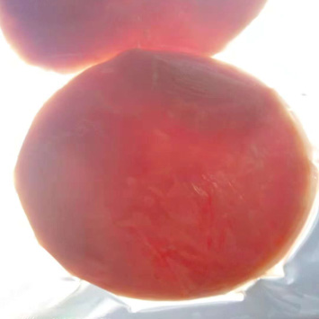 特斯特護(hù)色寶產(chǎn)品介紹 特斯特護(hù)色寶產(chǎn)品介紹