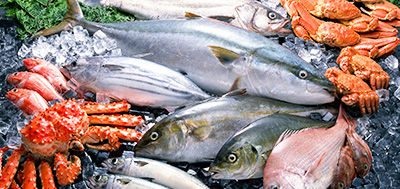 魚、蝦等海產(chǎn)品