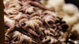 帶皮魷魚復(fù)配水分保持劑S107產(chǎn)品簡介