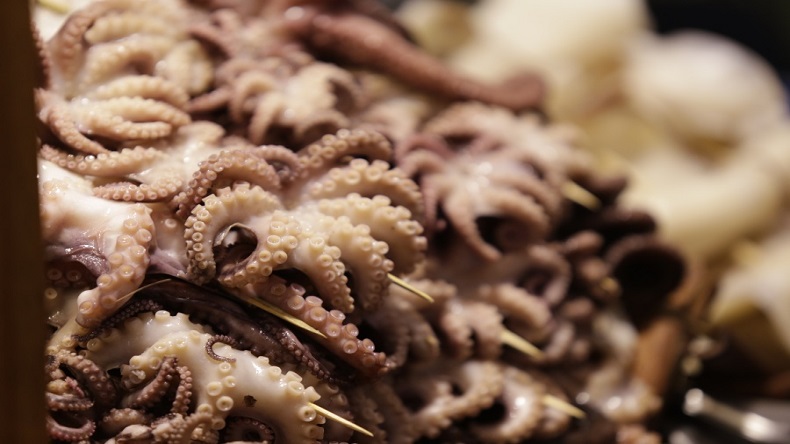 帶皮魷魚復配水分保持劑 帶皮魷魚復配水分保持劑