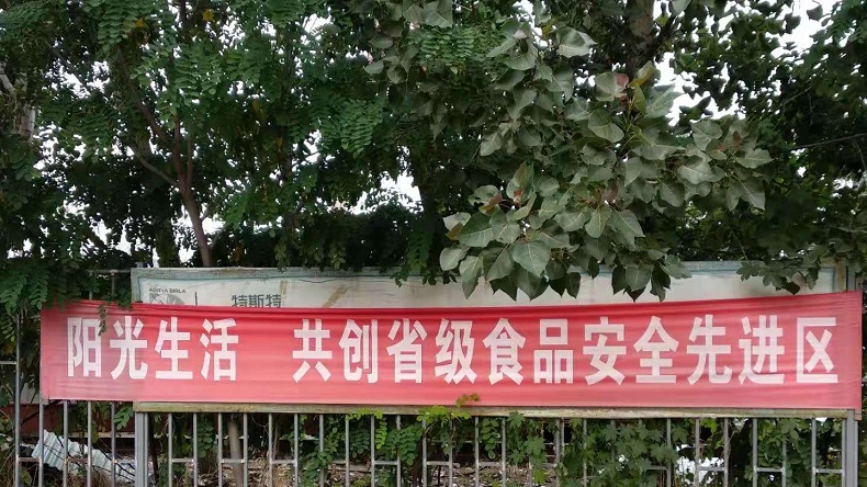 青島特斯特 青島特斯特