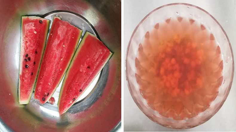 青島特斯特避暑小方法 青島特斯特避暑小方法