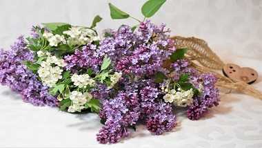 青島特斯特祝你七夕節快樂