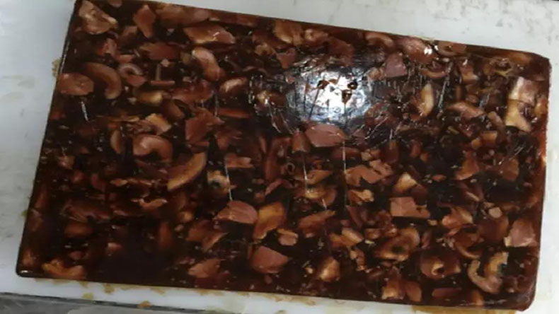 特斯特CJ19 特斯特CJ19