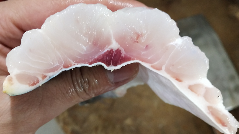 巴沙魚保水 巴沙魚保水