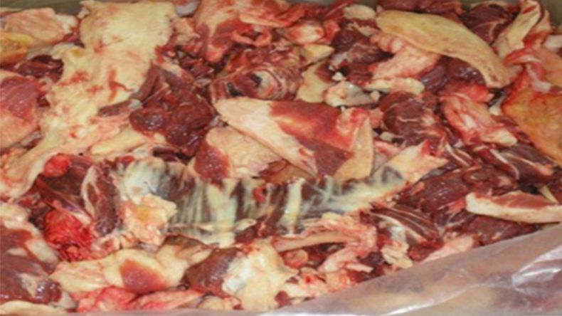 青島特斯特 青島特斯特