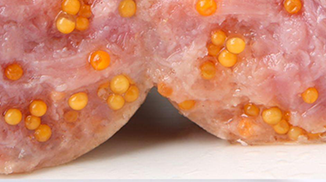 特斯特復(fù)配水分保持劑在爆漿魚(yú)籽肉腸中的應(yīng)用