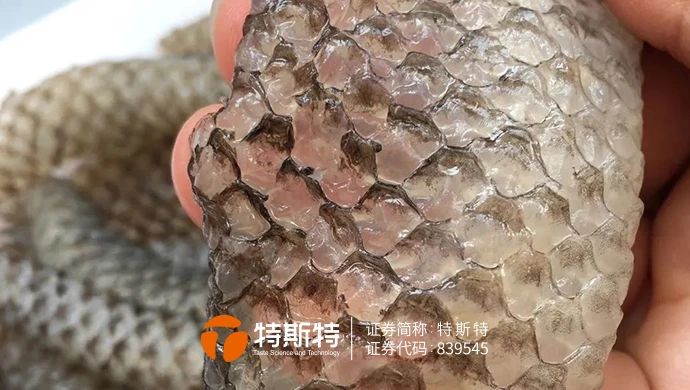 微信圖片_20240108102423 微信圖片_20240108102423