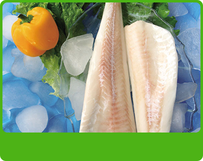 產品特性4 產品特性4