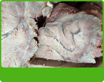 產品特性3 產品特性3