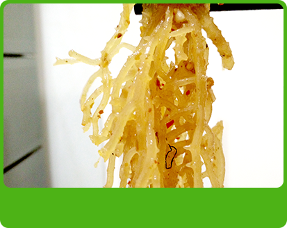 產品特性2 產品特性2